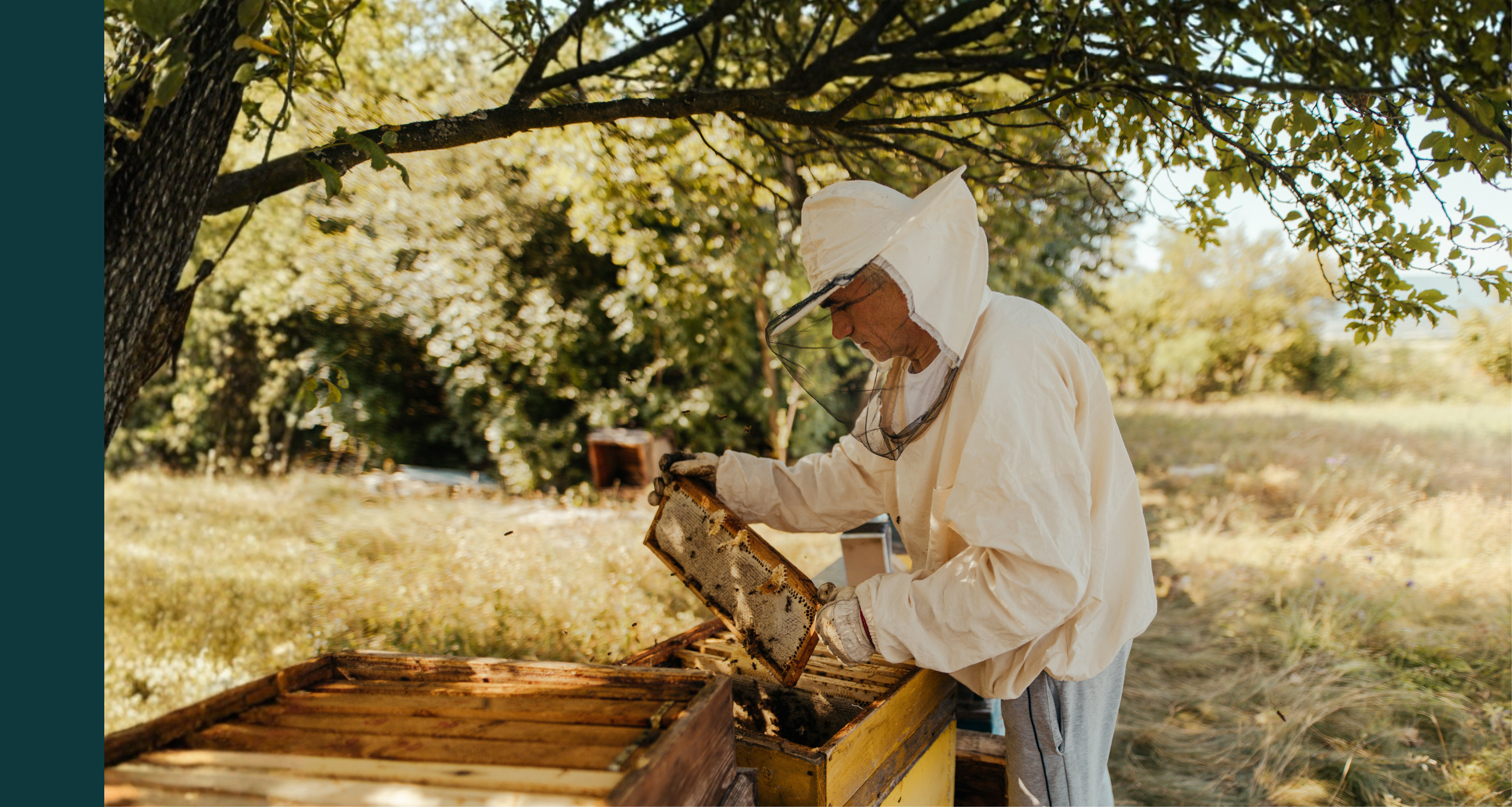 Bring the authenticity of the hive to your formulations