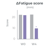 Fatigue score