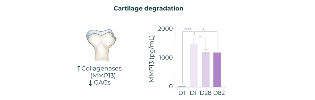 Fwrd cartilage degradation