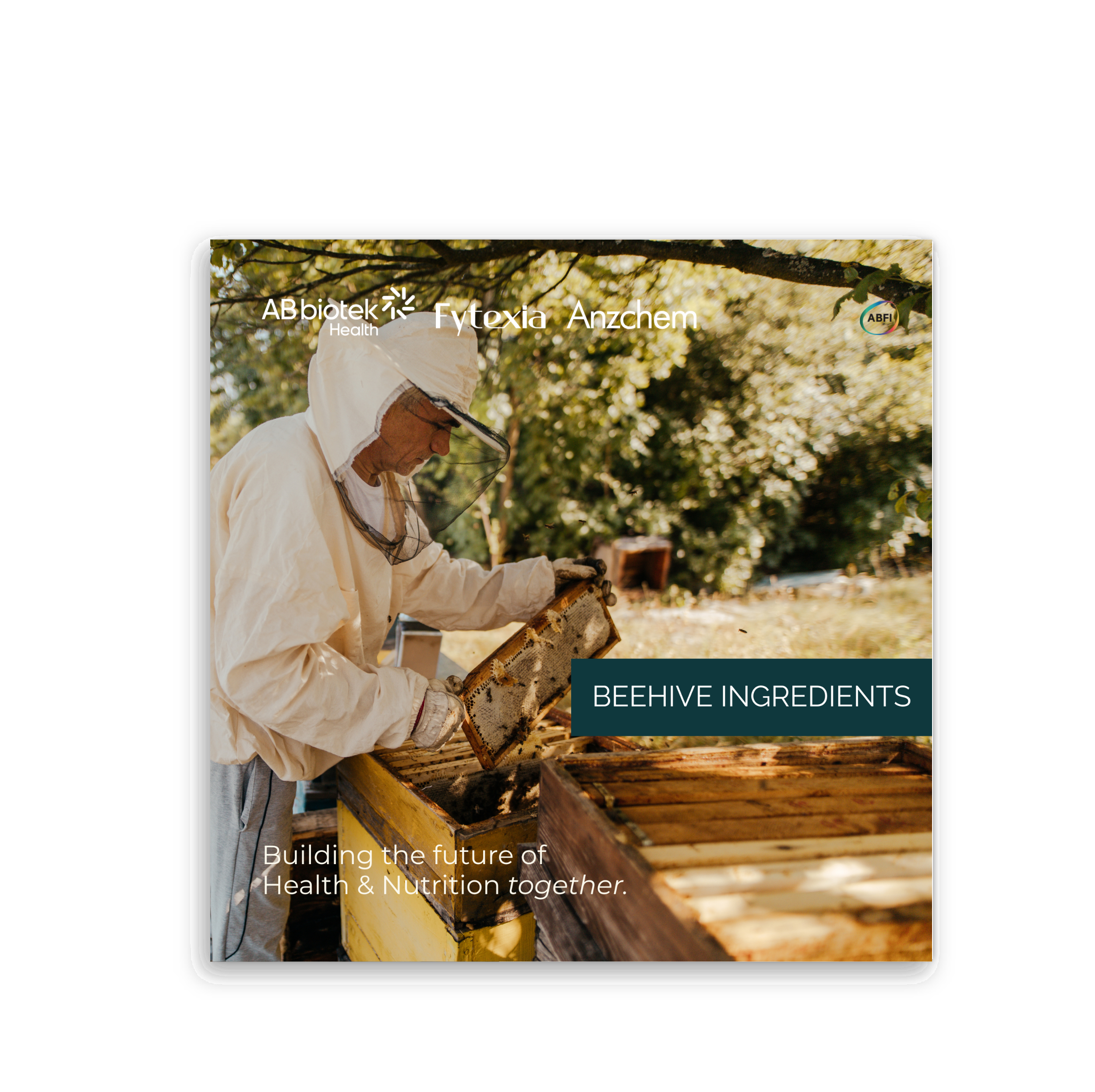 Beehive Ingredients Brochure