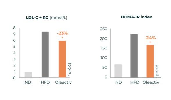 Oleactiv<sup>®</sup> improves lipid and carbohydrate metabolism.